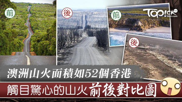 袋鼠島遭遇浩劫。