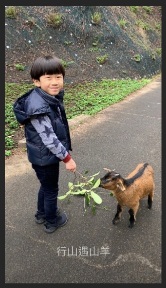 小蟹籽充滿愛心。（取自呂慧儀IG）