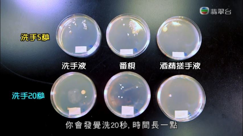 測試發現洗手20秒比5秒更加有效殺菌。（影片截圖）