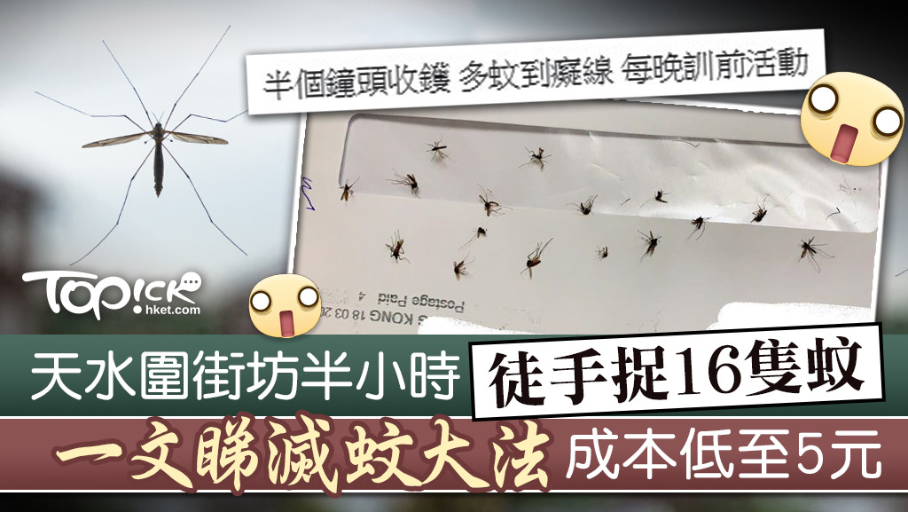 天水圍街坊半小時徒手捉16隻蚊。