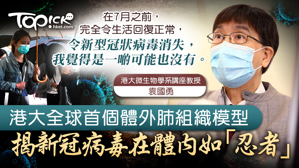 港大研究團隊指新冠病毒可以在體內大量繁殖，卻會抑制免疫反應，令患者沒有明顯徵狀。