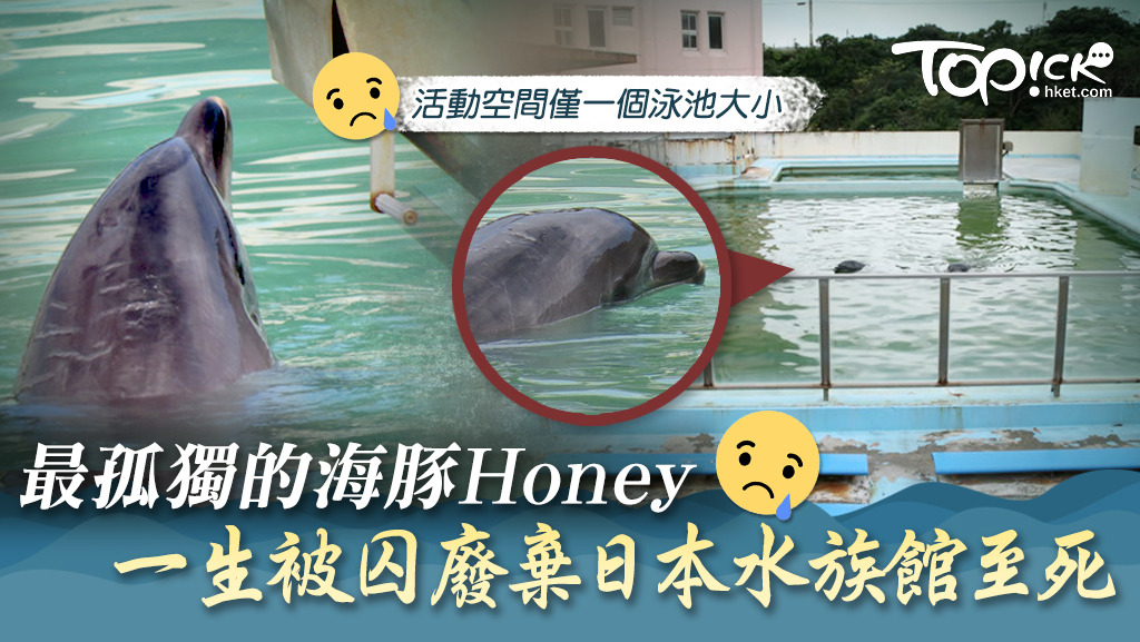 Honey在一間結業2年的日本水族館被囚至死。