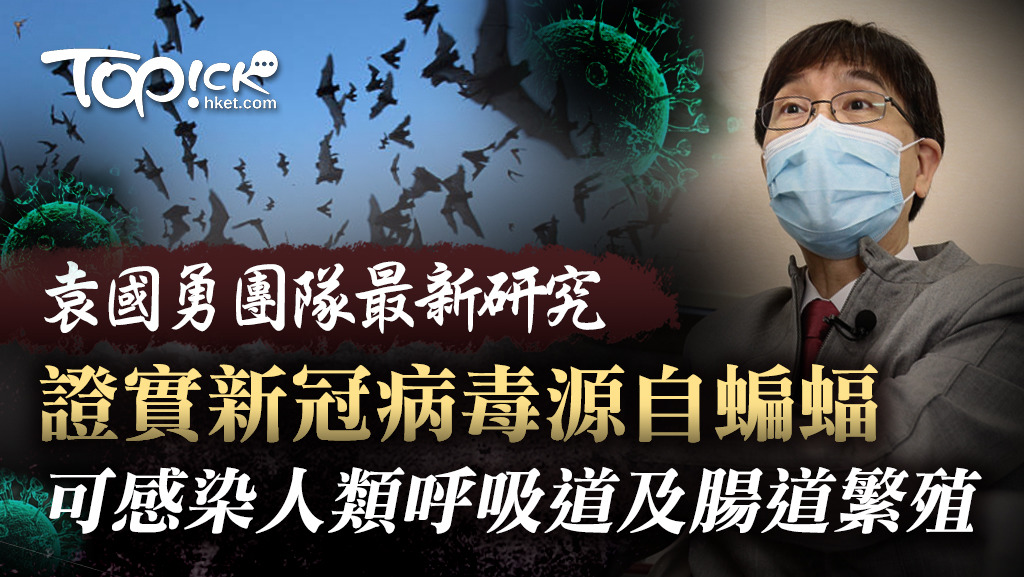 袁國勇團隊證實新冠病毒可感染人類腸道及呼吸道。