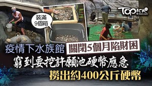 水族館經營困難，要用許願池的錢幣應急。