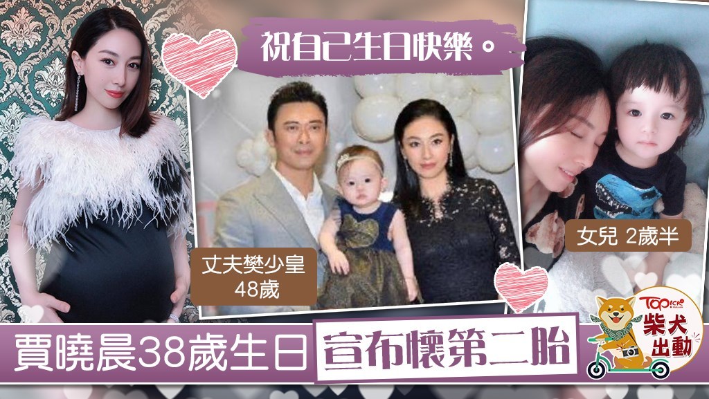 賈曉晨再度懷孕。