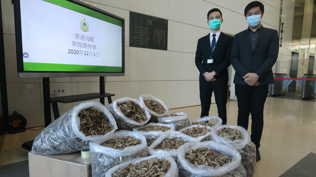 海關有組織罪案調查科特別調查第一組督察康恩（左）、漁農自然護理署瀕危物種保護主任（牌照事務）陳翰奇（右）。