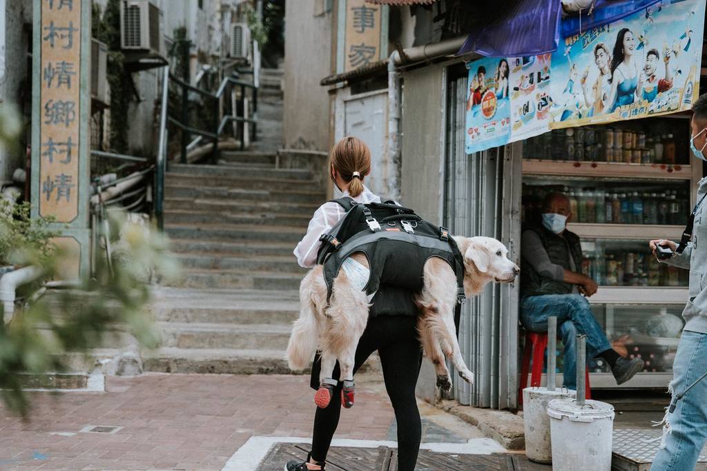 李旻芳是十分體貼的狗主。（取自IG）