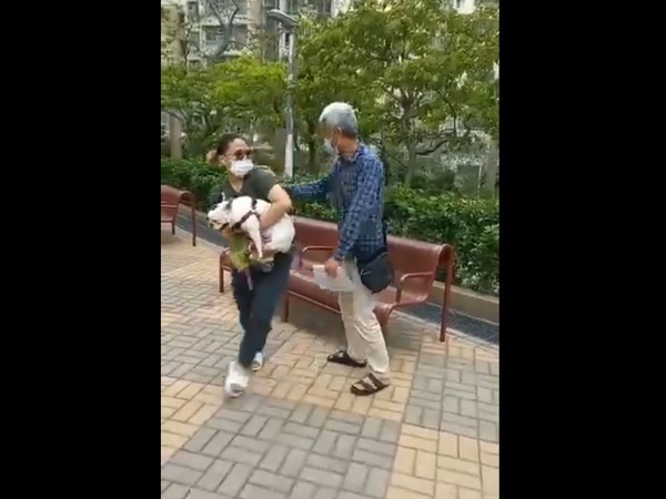 有指起因是阿伯心痛孫仔跟狗玩時而跌倒。 (影片截圖)