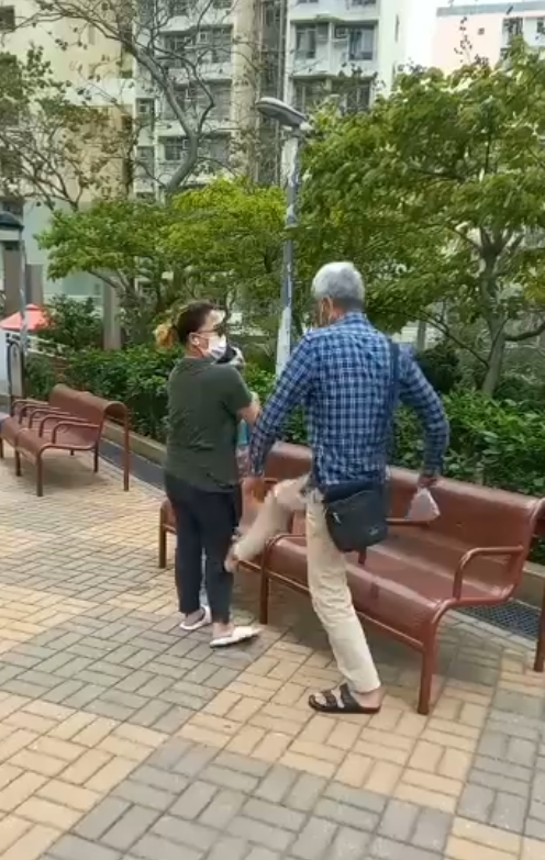 日前，一名外傭帶狗散步，被一名老翁動粗腳踢。（影片截圖）