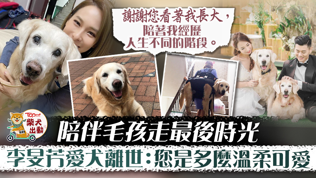 李旻芳愛犬離世。