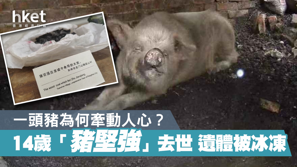 台湾“四大公投”即将举行你该了解的看点有哪些- BBC News 中文