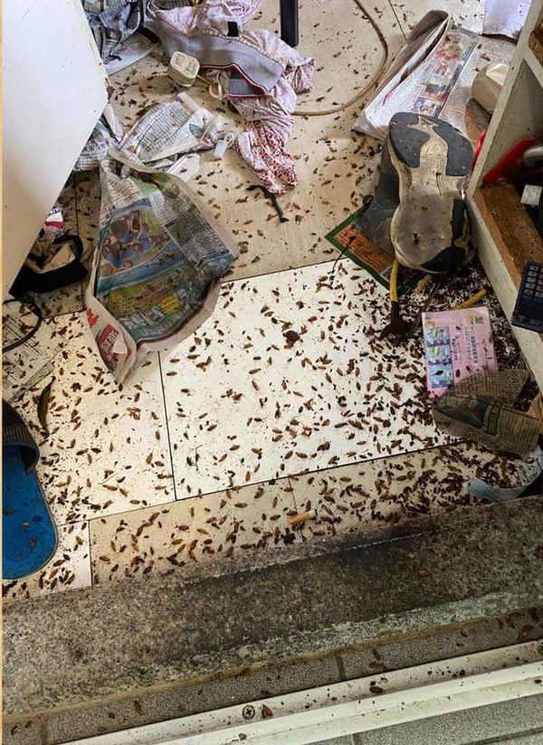 美賢樓一個低層單位驚變垃圾屋,遍地曱甴。(圖片來源:冼錦豪Facebook)