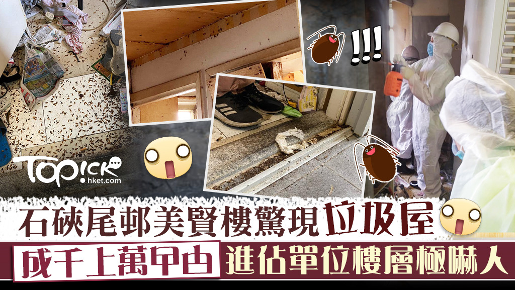 石硤尾邨美賢樓一個低層單位驚變曱甴垃圾屋。