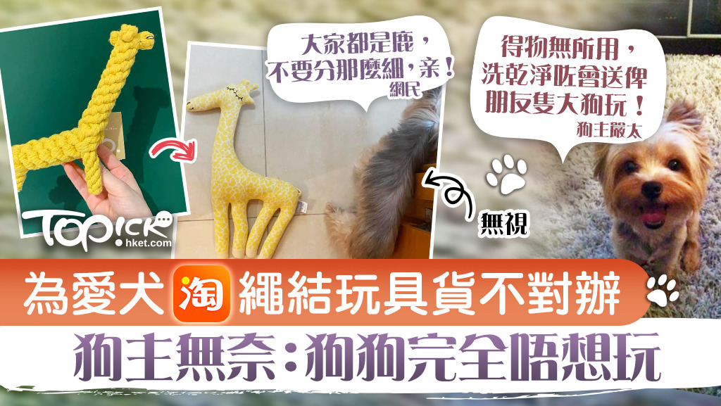 有狗主為愛犬淘寶繩結玩具，最後發現貨不對辦。
