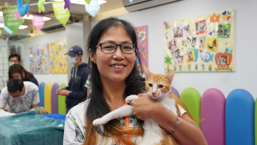 動物義工Coco 於Facebook成立「浪浪日記」，在專頁內記錄她每日餵流浪貓的日程，相當有心。（攝影︰馮柏偉）