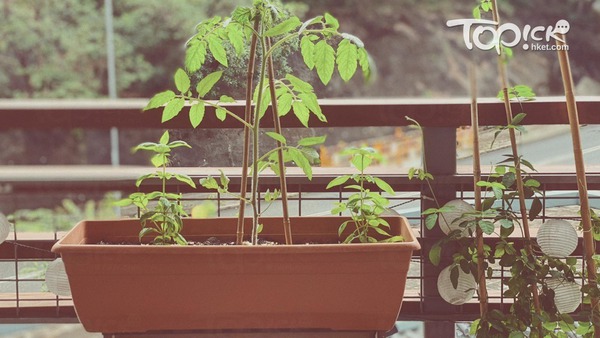 植物可以再種，但孩子的成長不可以再來。