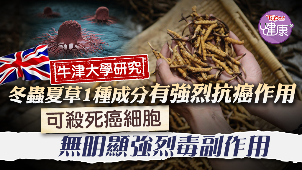 牛津大學研究發現，冬蟲夏草1種成分有強烈抗癌作用。