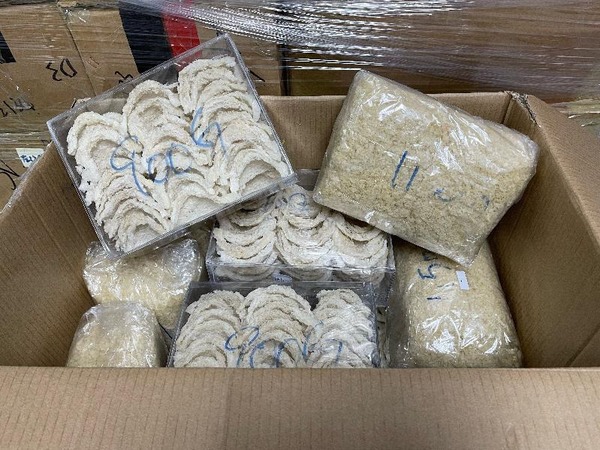 部分檢獲的懷疑走私燕窩。(政府新聞處)