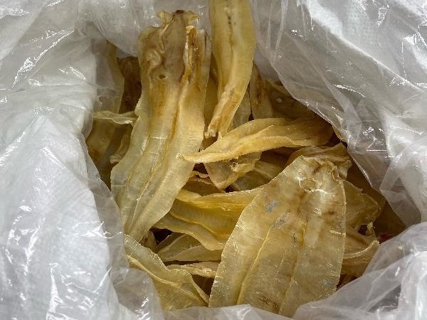 部分檢獲的懷疑走私花膠。(政府新聞處)