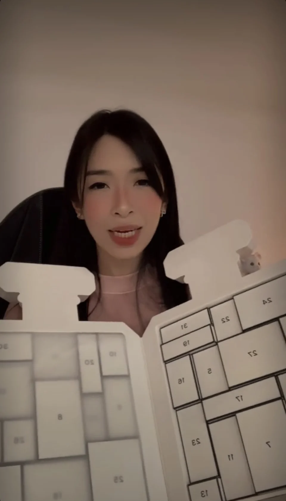 雪姨與網民一起開箱。（影片截圖）