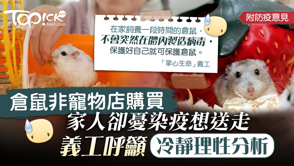 非寵物店購買，家人仍想送走，義工籲理性分析勿棄養。