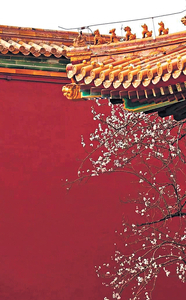 絳色、朱色 中國紅的知識