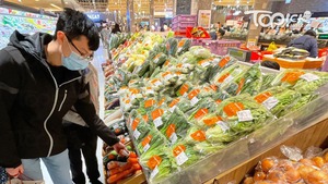 政府表示，昨日由內地進口本港的鮮活食品供應大致回復平日水平。（資料圖片）