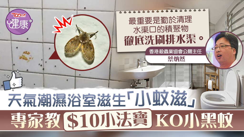 天氣潮濕浴室滋生「小蚊滋」，專家教$10小法寶KO小黑蚊。