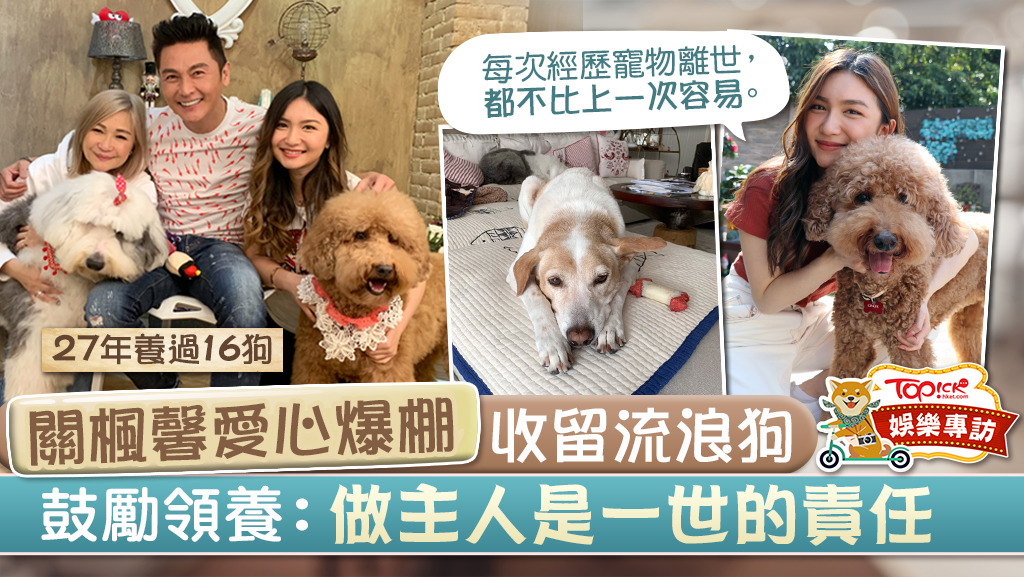 關楓馨愛心爆棚鍾情領養流浪狗，27年養16狗難忘陪伴成長。