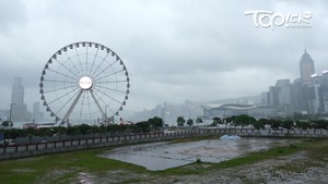 (譚以諾攝)