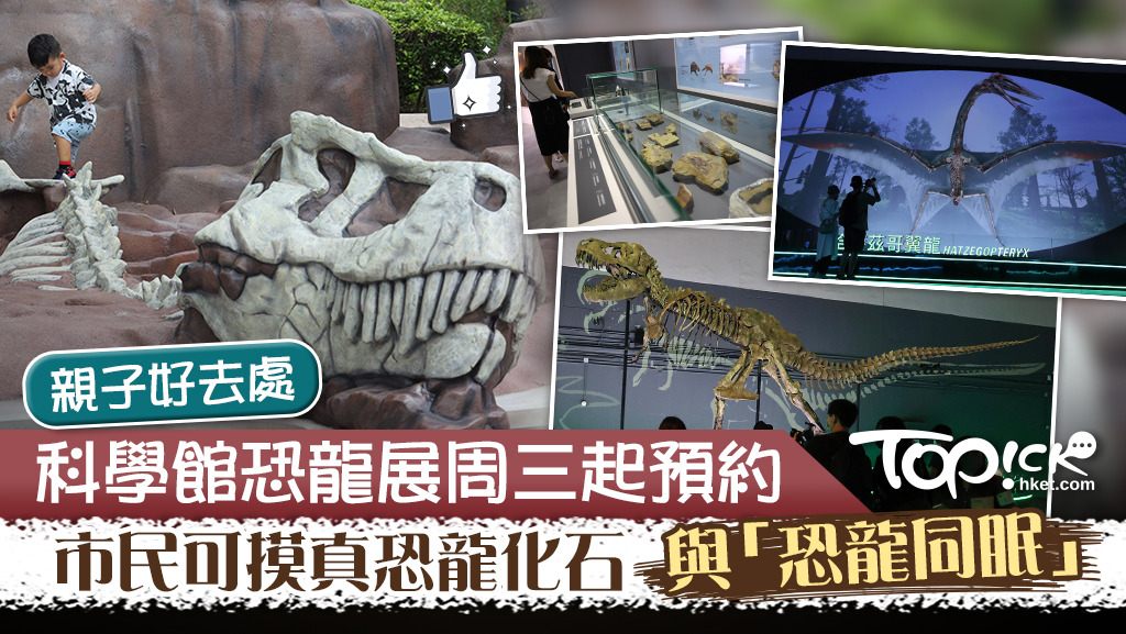 是次展覽除觀賞展品外，參觀者亦可觸摸真恐龍化石。