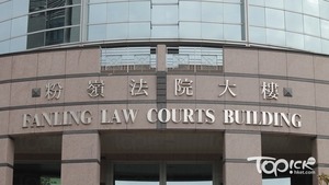 7.21元朗暴動案，再多一名被告被控暴動罪，案件今於粉嶺裁判法院提堂。資料圖片
