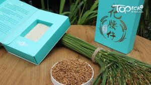 首批花腰仔於菜統處應用程式發售。（湯致遠攝）