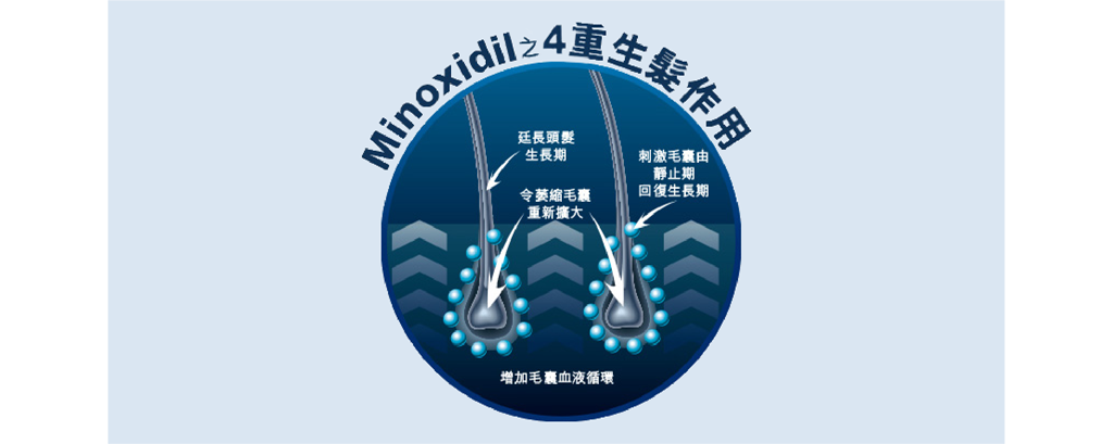 Minoxidil生髮配方能發揮4重生髮作用+，助你重拾豐盈亮麗秀髮。
