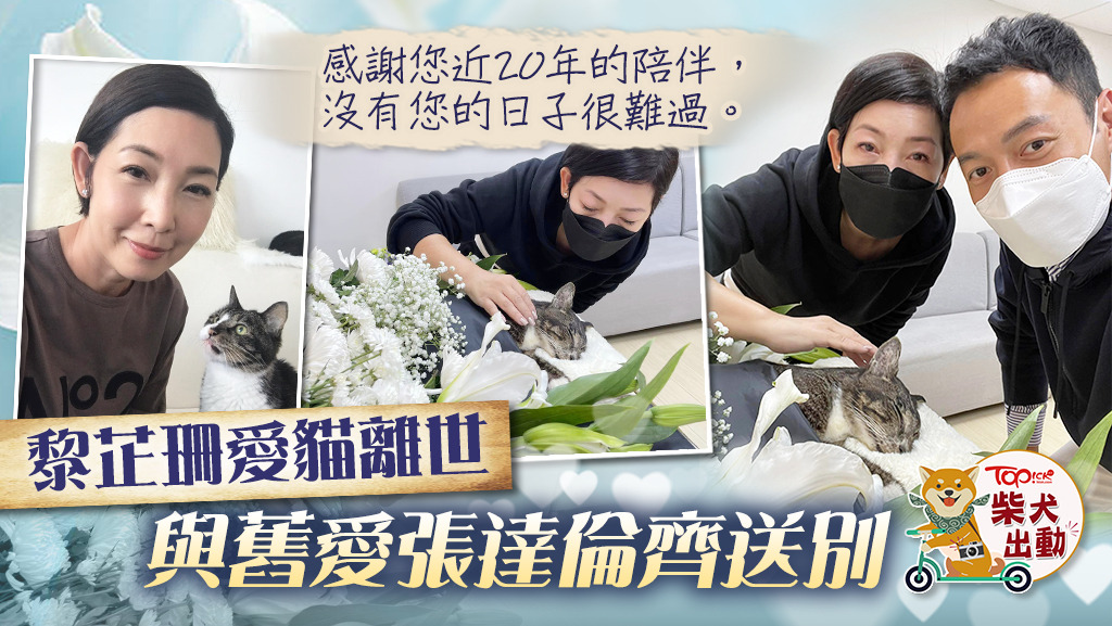 芷珊要好好保重。