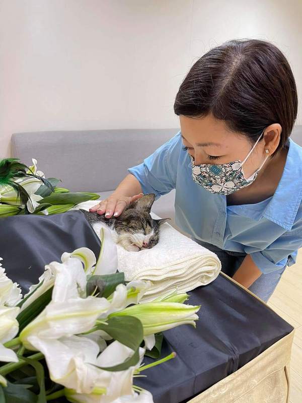 去年愛貓吱吱離世