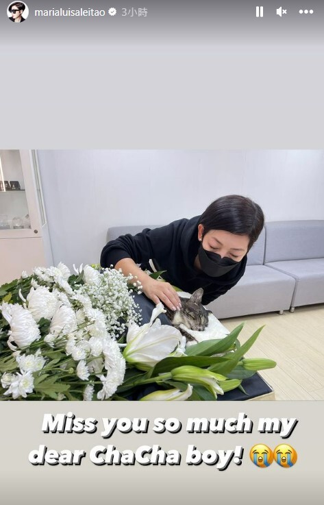 另一愛貓喳喳亦離世
