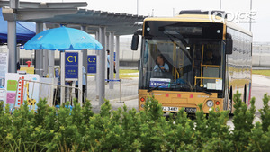 內地春運期間金巴料每日開逾百班車。（資料圖片）