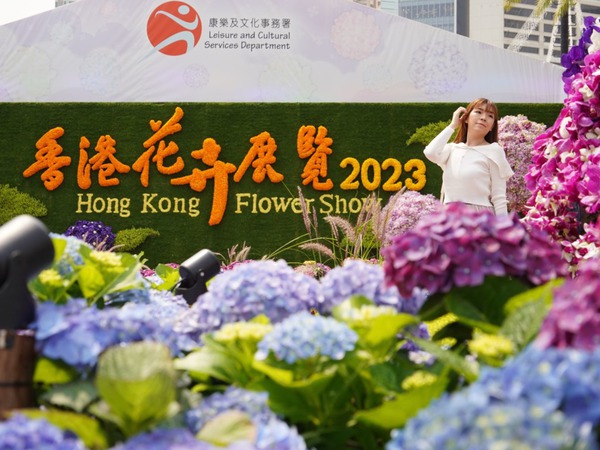 立體繡球花花牆和花圃。(林宇翔攝)