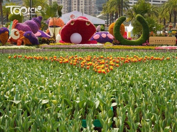深受市民歡迎的鬱金香花海。(林宇翔攝)