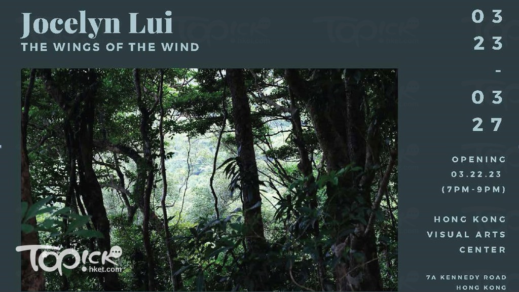 藝術家Jocelyn首次展覽《The Wings of the wind》