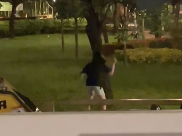 該黑衣女子在短短10秒內,便已連續揮刀劈樹10次。(Facebook 上水人大聯盟)