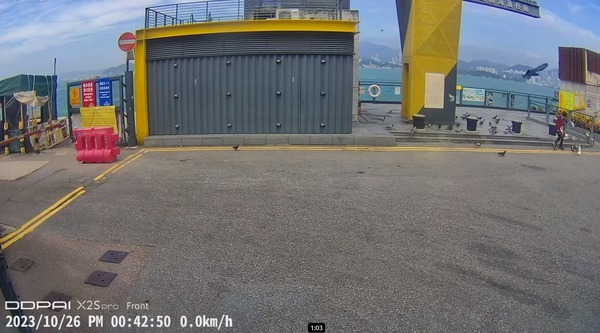 網上流傳一條車Cam片段,一名中年女子徒手捉起多隻白鴿,一名男子上前制止。(「西環變幻時」FACEBOOK)