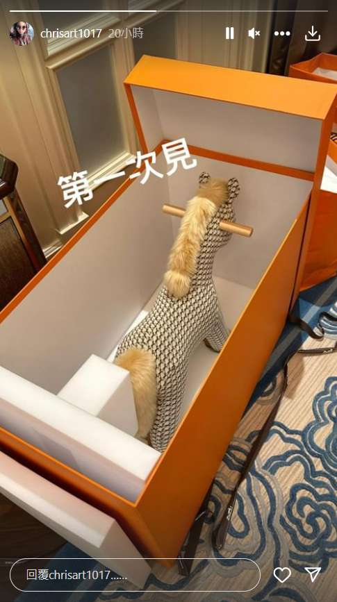 Chris早前曾晒Hermès玩具木馬。