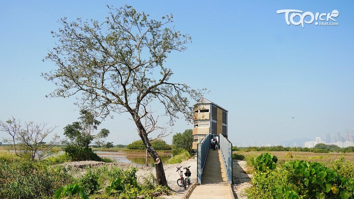 米埔保護區】米埔斯科特訪客中心新設9間客房供訪客留宿方便觀察雀鳥