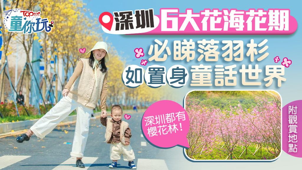 深圳6大賞花攻略逐個睇！