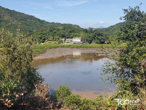 三椏村早年引水種植水稻及蔬菜,並同其他村以物易物。(吳雋妍攝)