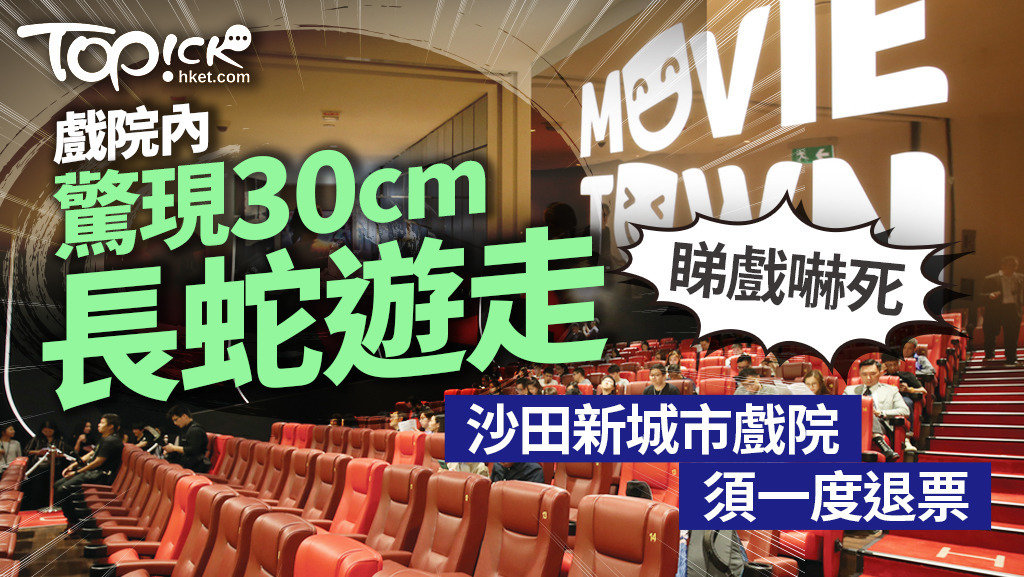 戲院有蛇，沙田新城市Movie Town，黑蛇30厘米影院內遊走。