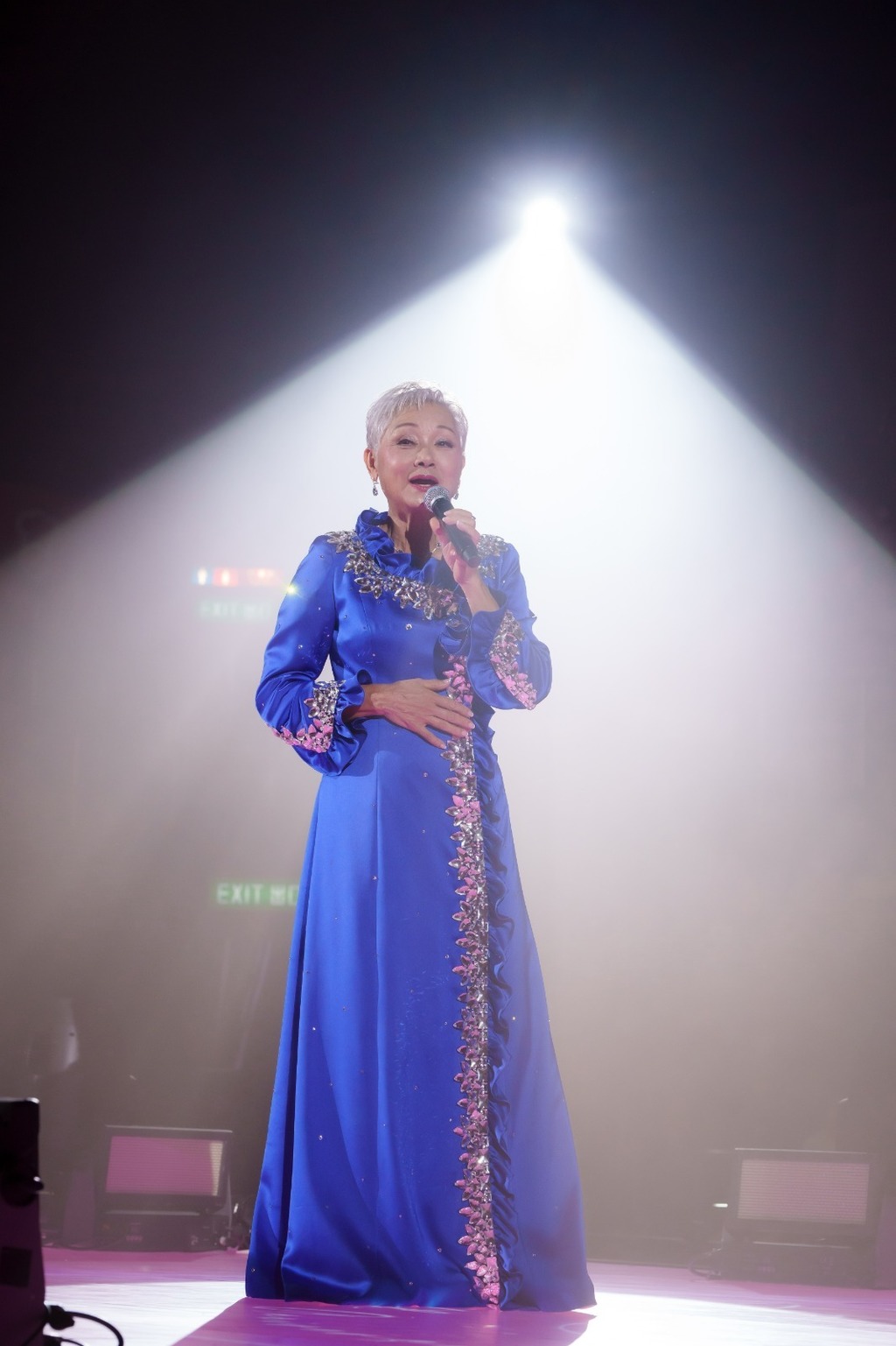 《葉麗儀感恩55周年香港演唱會2024》
