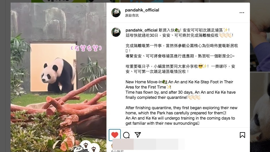 熊貓安安可可完成30天隔離檢疫。（pandahk_official圖片）